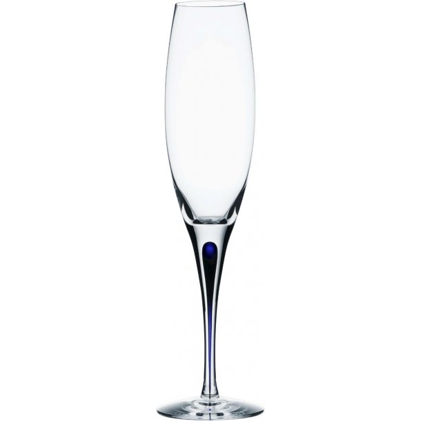 Orrefors Intermezzo Champagneglas 26cl, krystal - bl